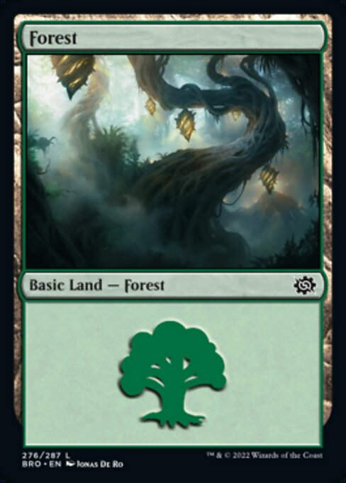 Forest (BRO_276)