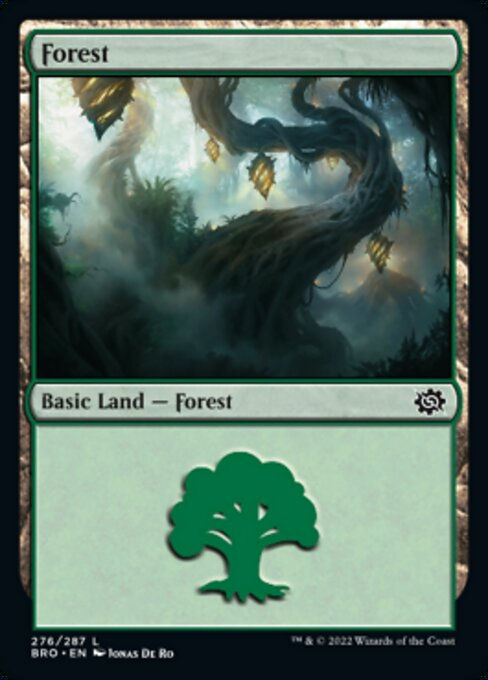 Forest (BRO_276)