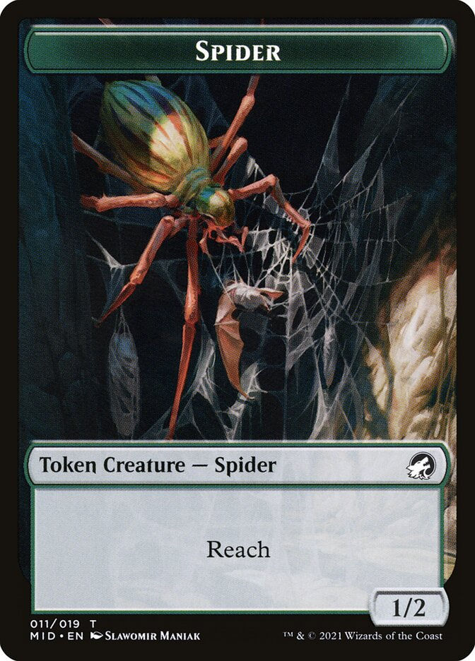 Spider (TMID) (11)