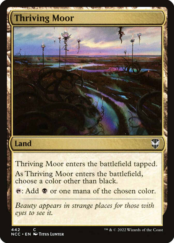 Thriving Moor (NCC) (442)