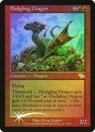 Fledgling Dragon (jud)