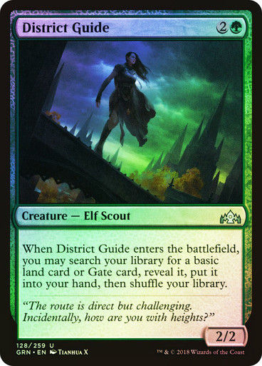 District Guide (GRN) (128) / Foil