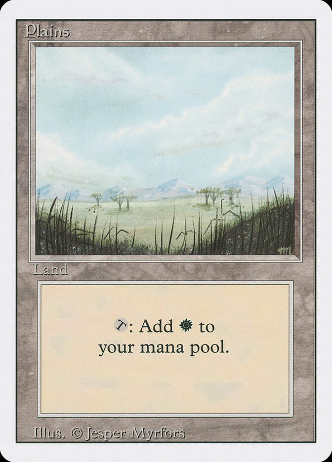 Plains (3ED) (293)