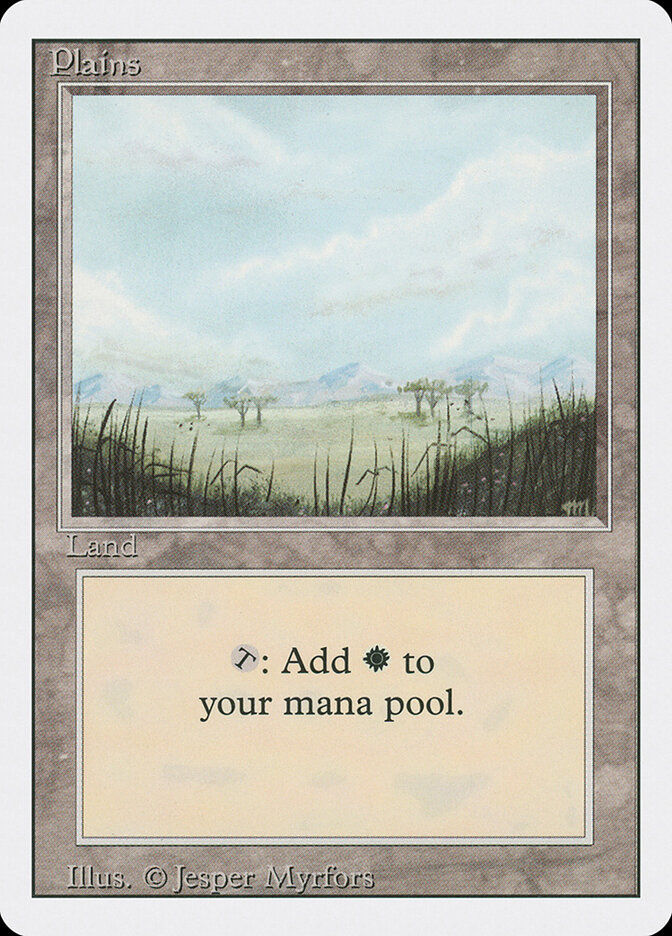 Plains (3ED) (293)