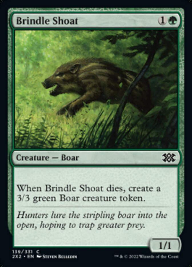 Brindle Shoat (2X2)
