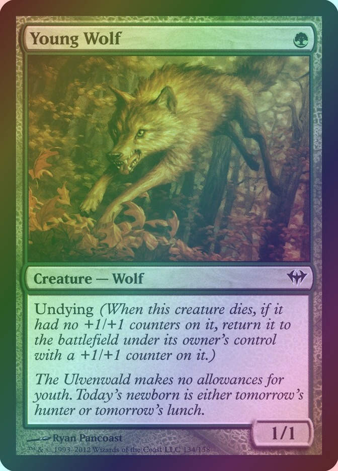 Young Wolf (DKA) (134) / Foil