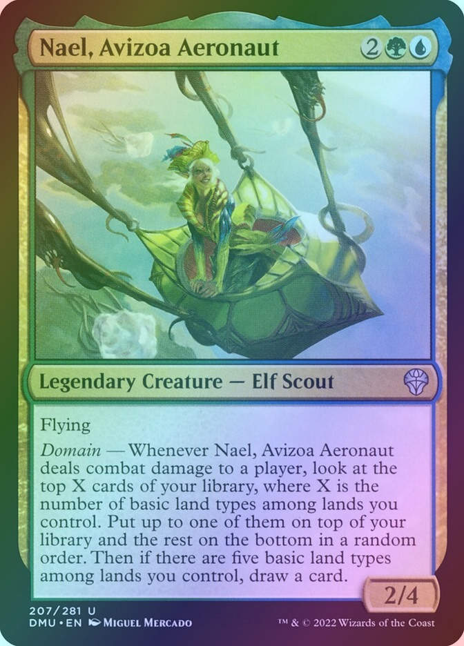 Nael, Avizoa Aeronaut (DMU) (207) / Foil
