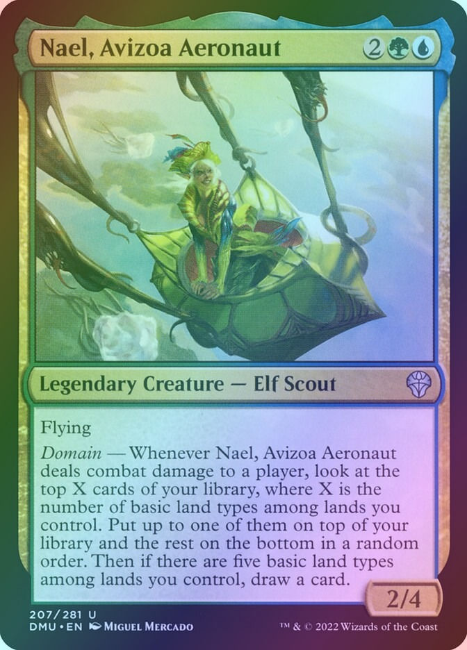 Nael, Avizoa Aeronaut (DMU) (207) / Foil