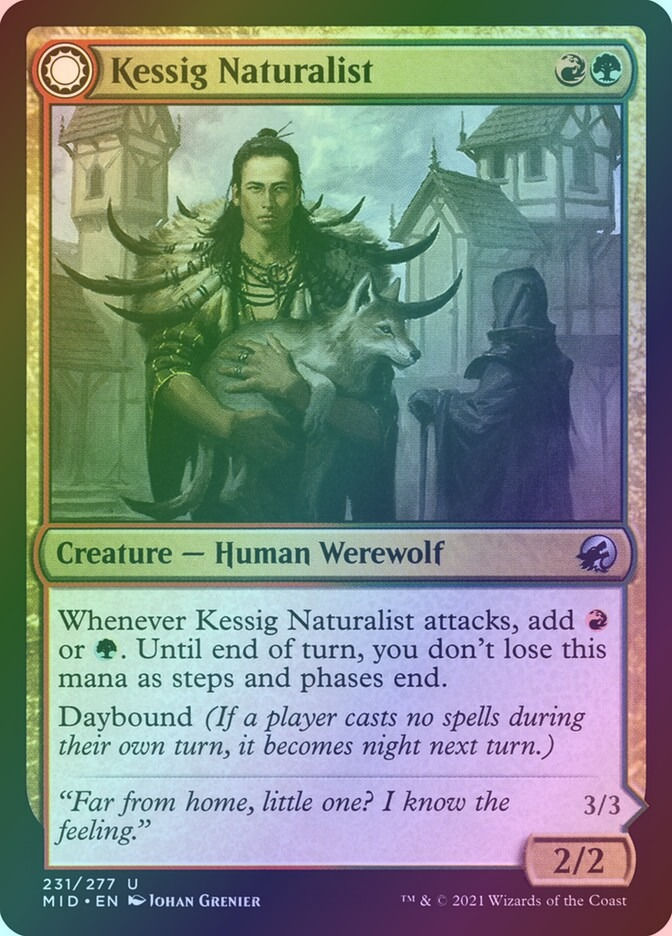 Kessig Naturalist // Lord of the Ulvenwald (MID) (231) / Foil