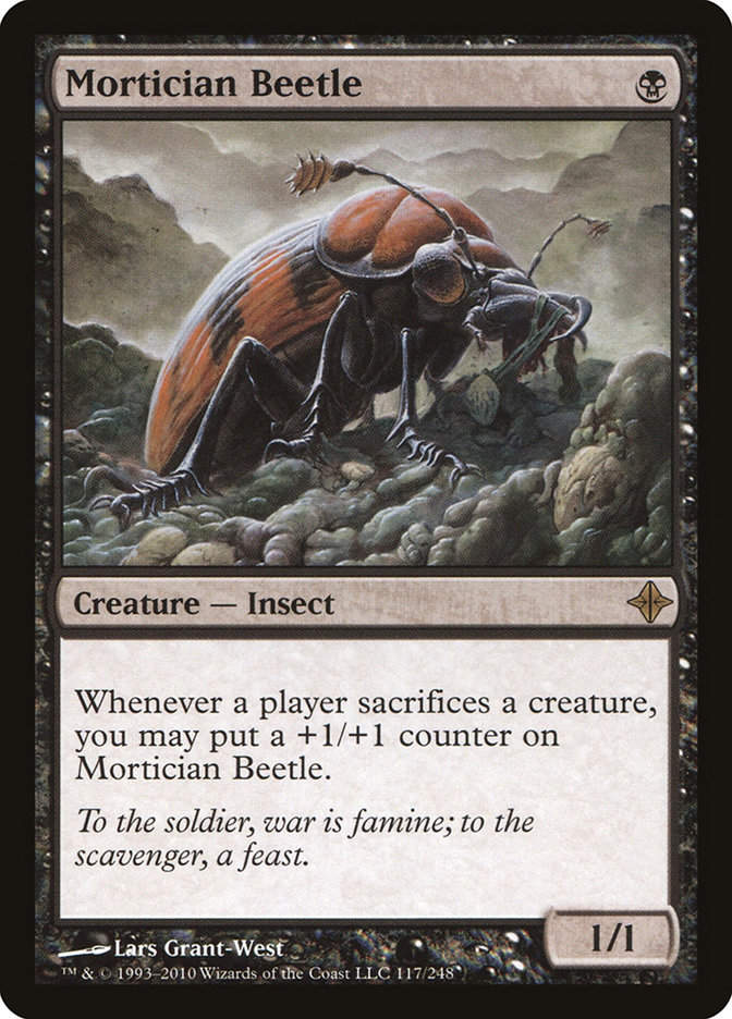 Mortician Beetle (roe)