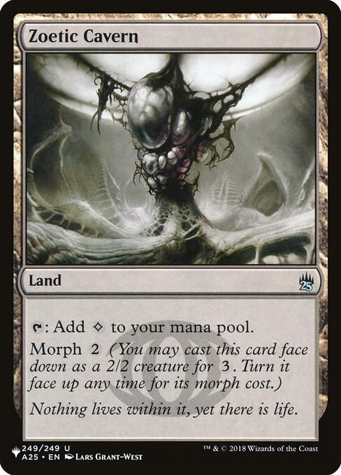 Zoetic Cavern (PLST) (A25-249)
