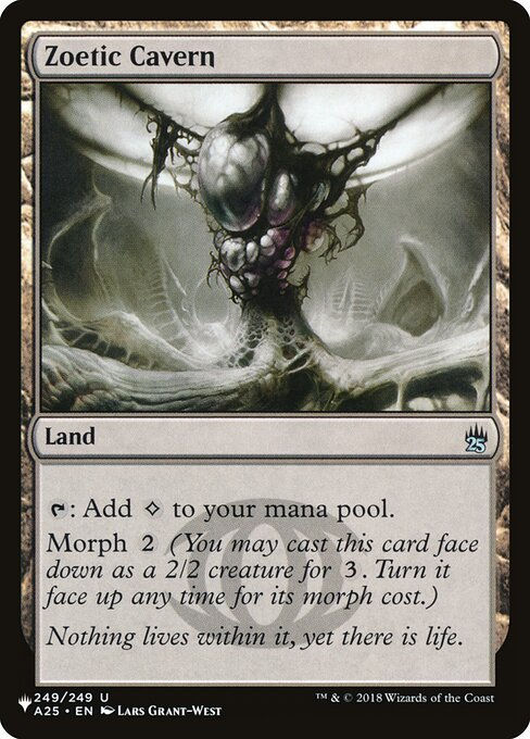 Zoetic Cavern (PLST) (A25-249)