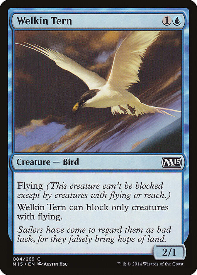 Welkin Tern (M15) (84)