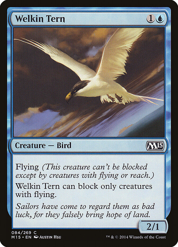 Welkin Tern (M15) (84)