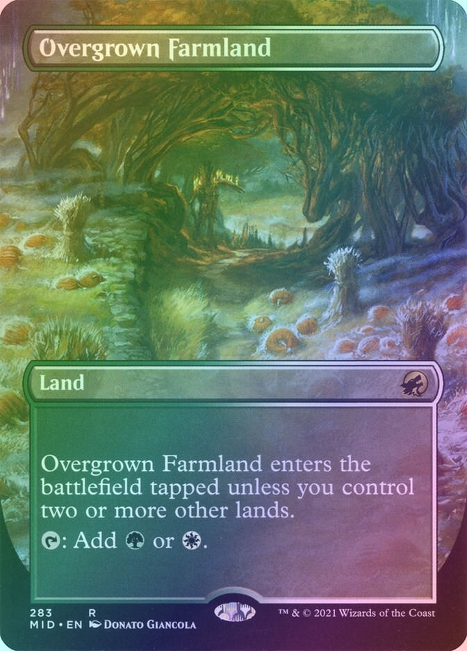 Overgrown Farmland (MID) (283) / Borderless / Foil