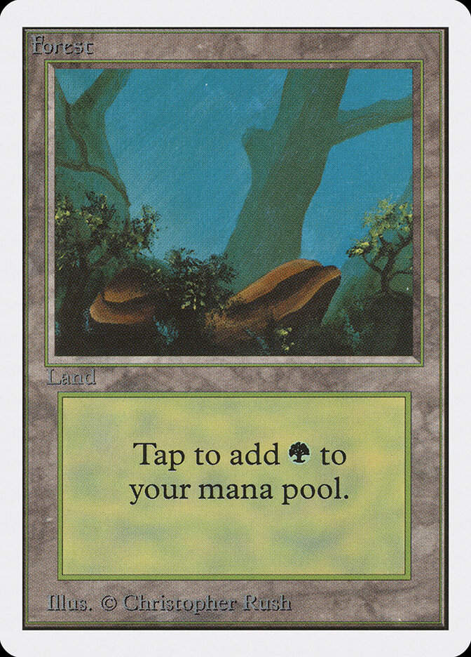 Forest (2ED) (300)