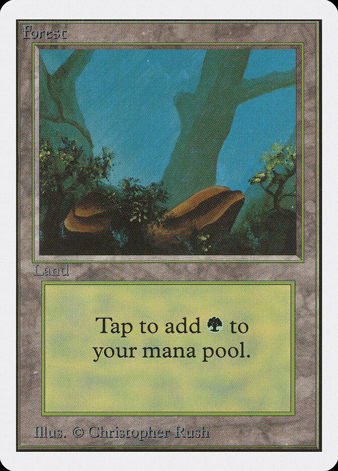 Forest (2ED) (300)