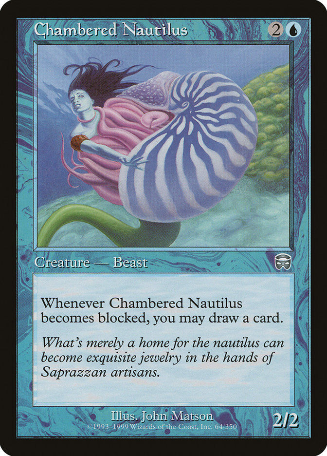 Chambered Nautilus (MMQ) (64)