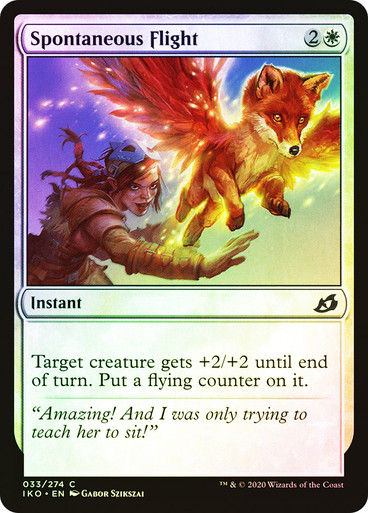 Spontaneous Flight (IKO) (33) / Foil