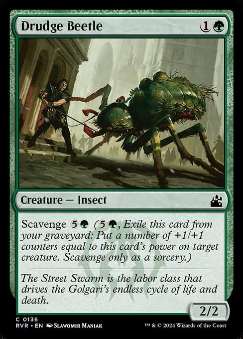 Drudge Beetle (rvr) (136)