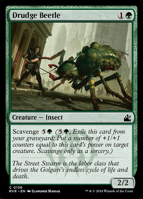 Drudge Beetle (rvr) (136)