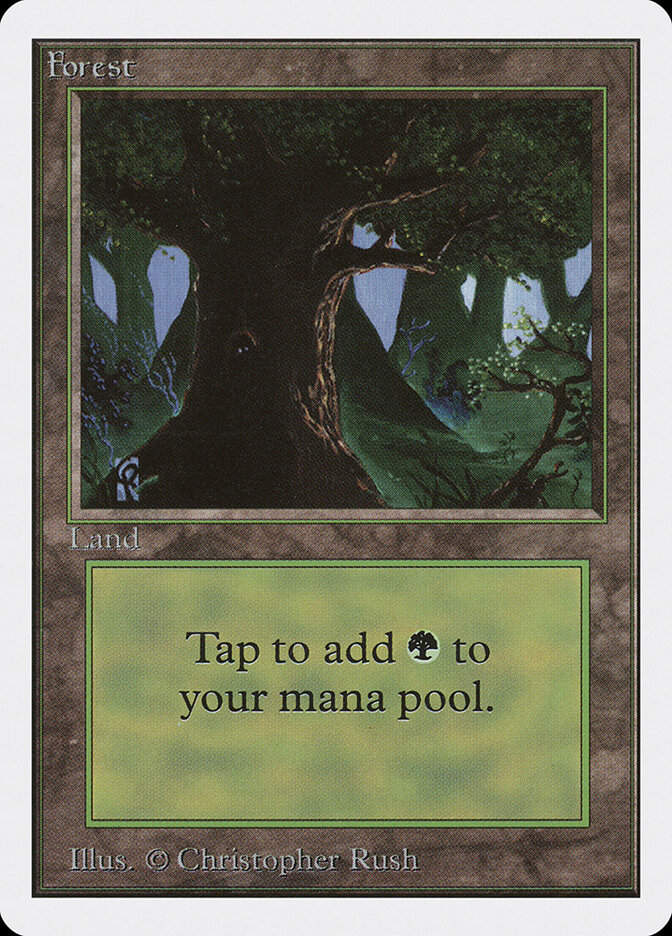 Forest (2ED) (302)
