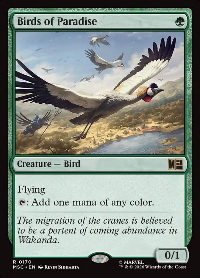 Birds of Paradise (MSC) (170)