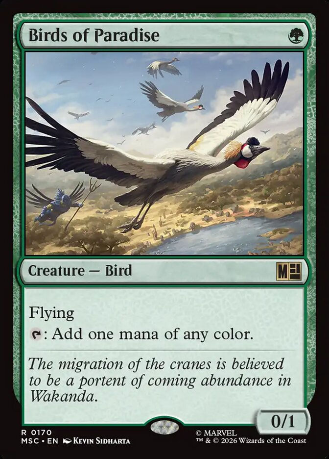 Birds of Paradise (MSC) (170)