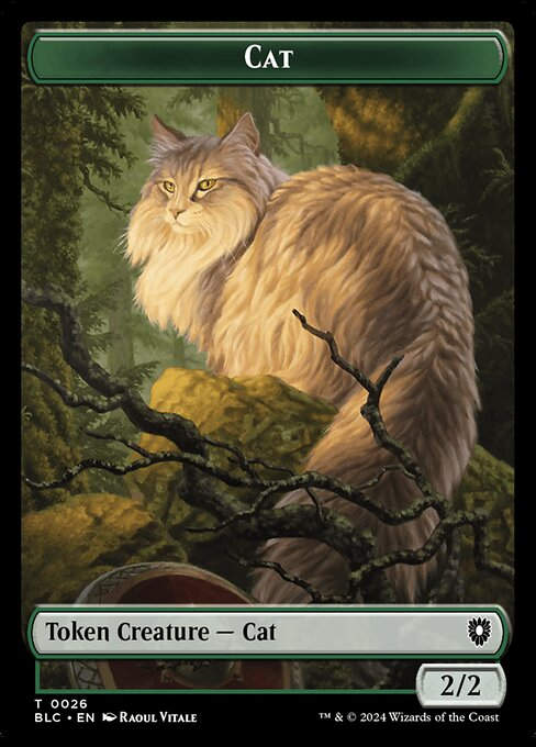 Cat (tblc) (26)