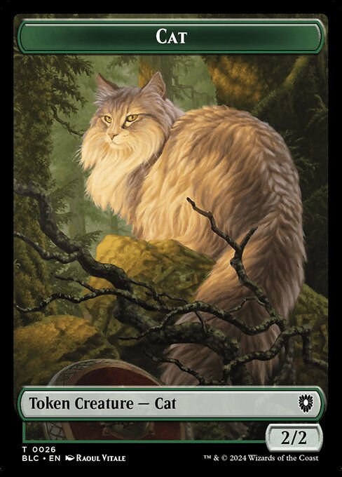 Cat (tblc) (26)