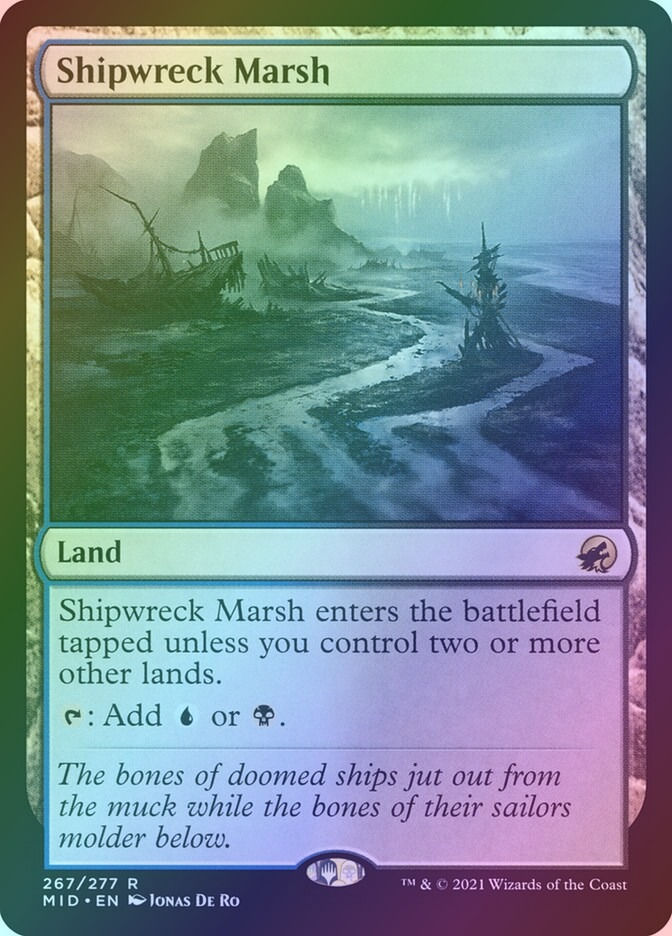 Shipwreck Marsh (MID) (267) / Foil