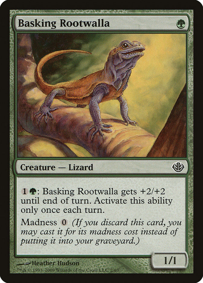Basking Rootwalla (ddd)