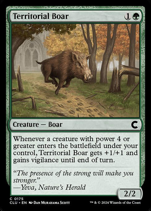 Territorial Boar (clu) (175)