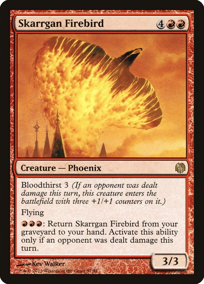 Skarrgan Firebird (DDL) (57)