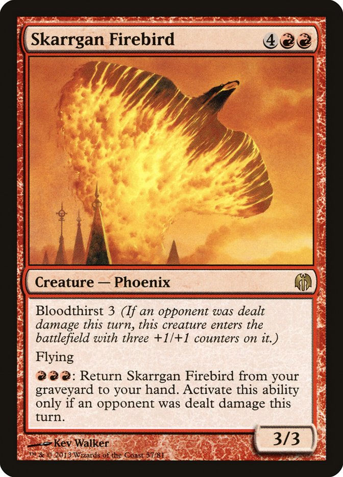 Skarrgan Firebird (DDL) (57)