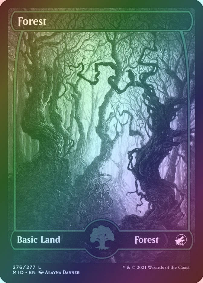Forest (MID) (276) / Showcase / Foil