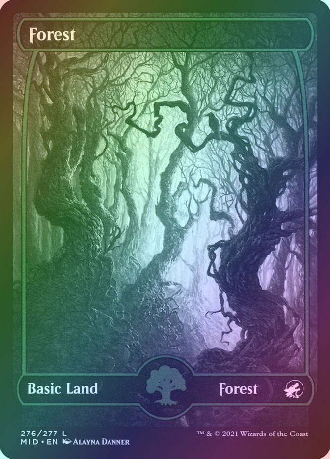 Forest (MID) (276) / Showcase / Foil