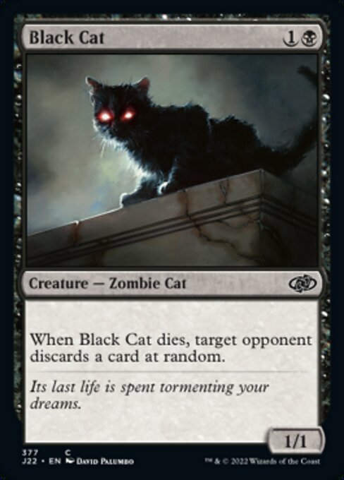 Black Cat (J22))