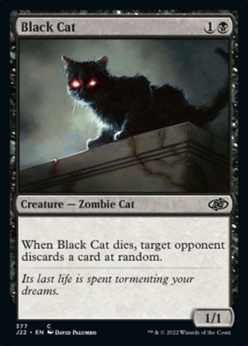 Black Cat (J22))