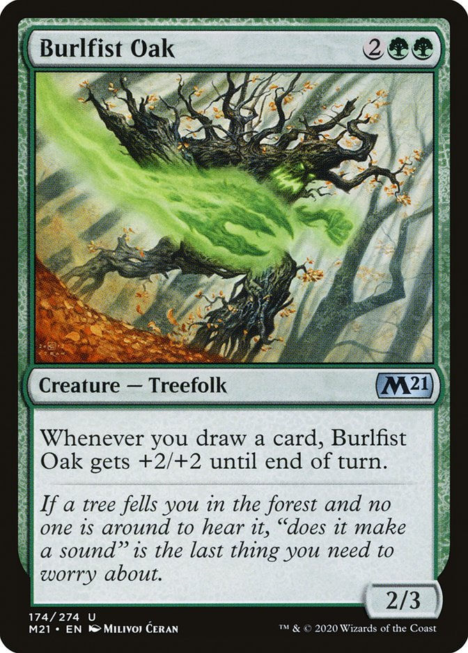 Burlfist Oak (M21) (174)