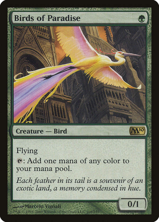 Birds of Paradise (m10)