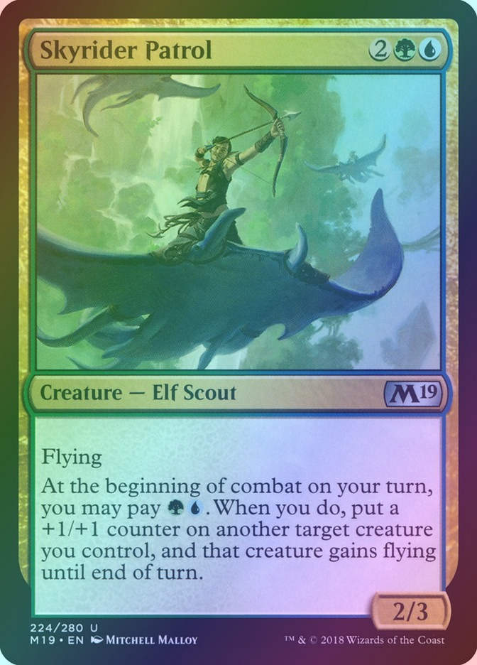 Skyrider Patrol (M19) (224) / Foil