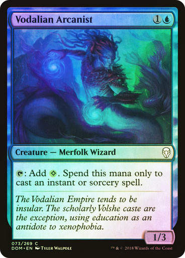 Vodalian Arcanist (DOM) (73) / Foil