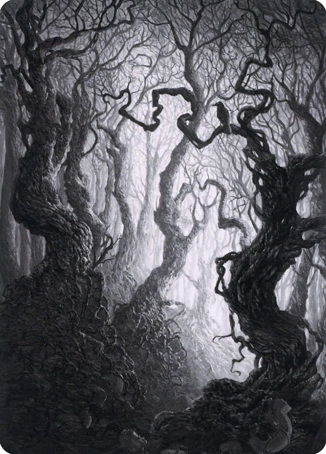 Forest (AMID) (80) / Firma Dorada