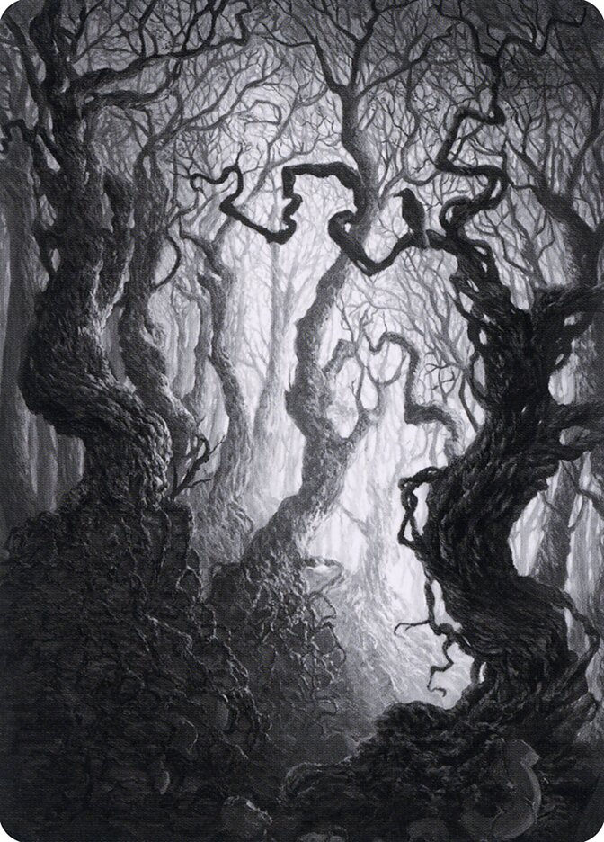 Forest (AMID) (80) / Firma Dorada