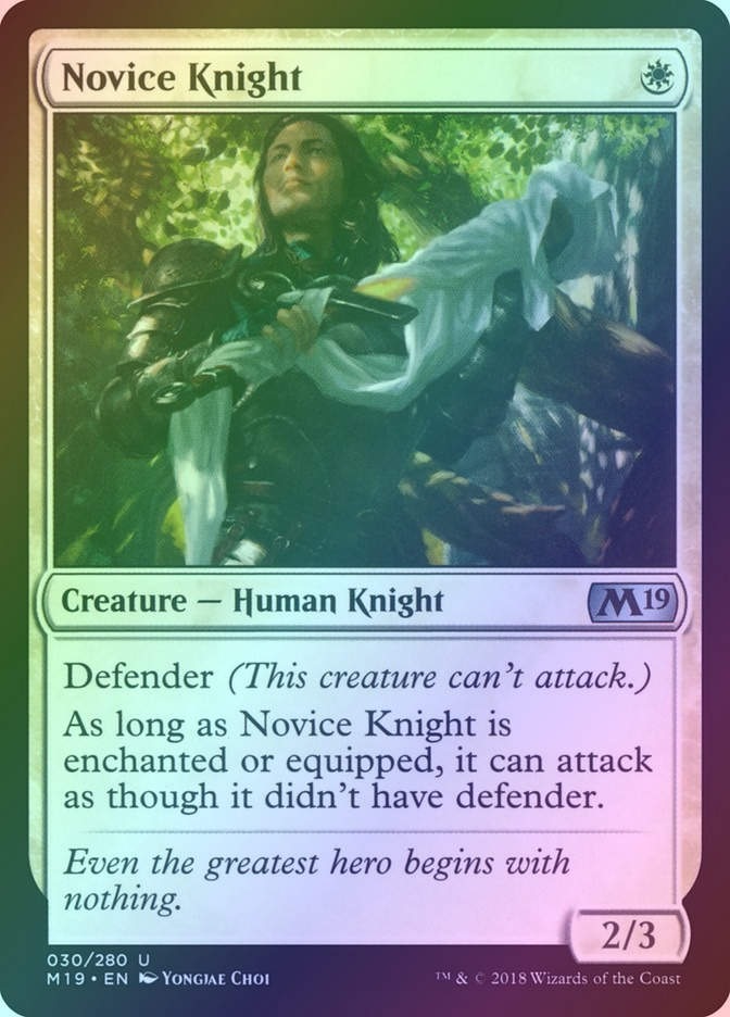Novice Knight (M19) (30) / Foil
