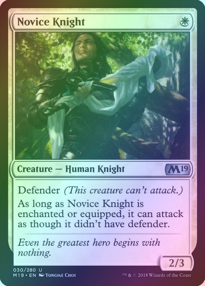 Novice Knight (M19) (30) / Foil