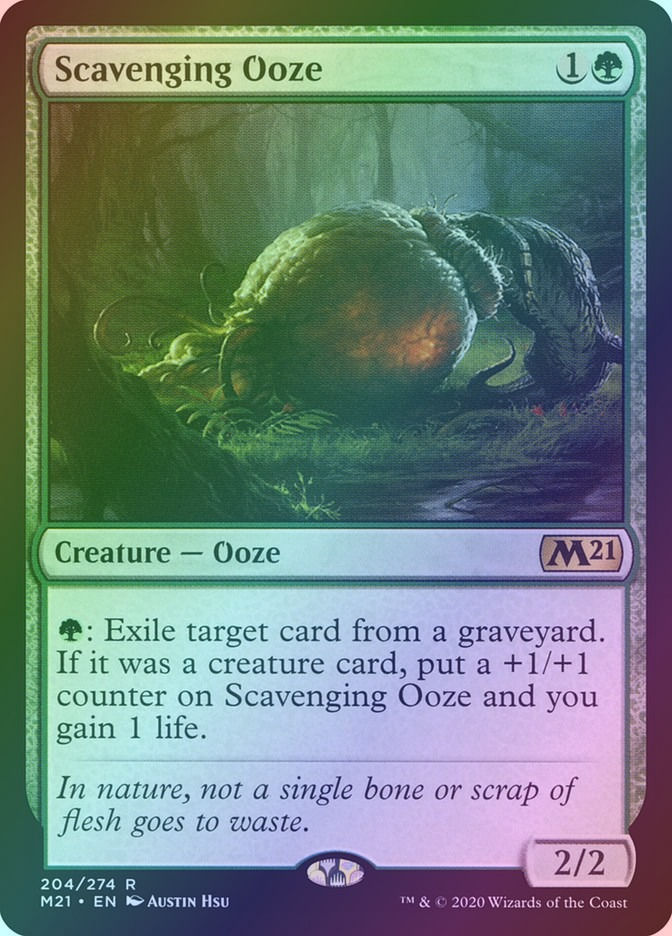 Scavenging Ooze (M21) (204) / Foil