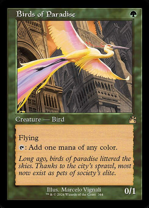 Birds of Paradise (rvr) (344) / Retro