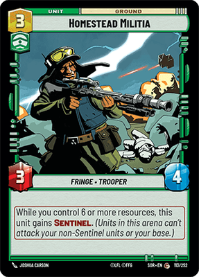 Homestead Militia (SOR_#113/252)
